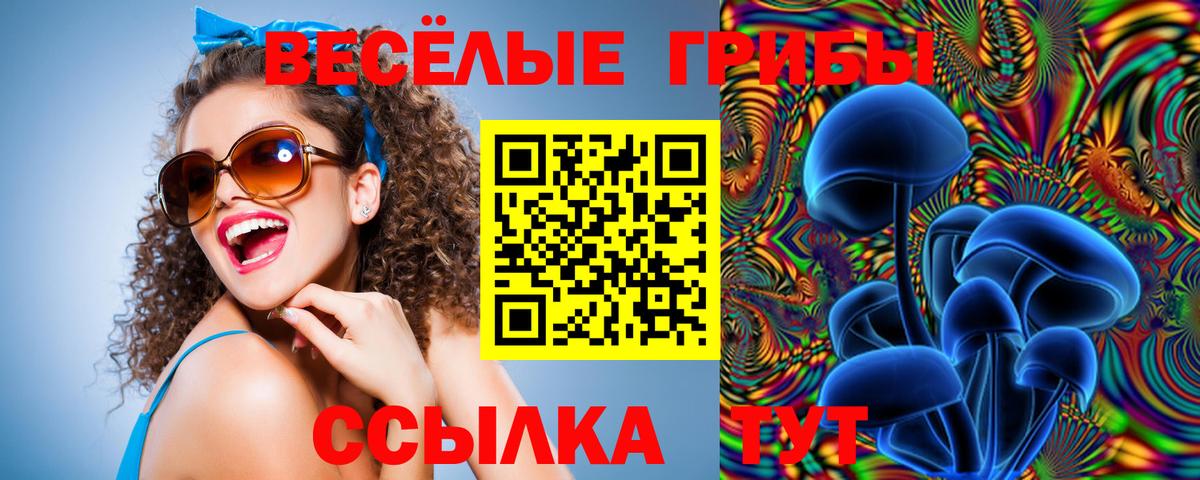 купить  сайты  Псилоцибиновые грибы GOLDEN TEACHER  Вход с VPN  Псилоцибиновые грибы Psilocybe  Корсаков 