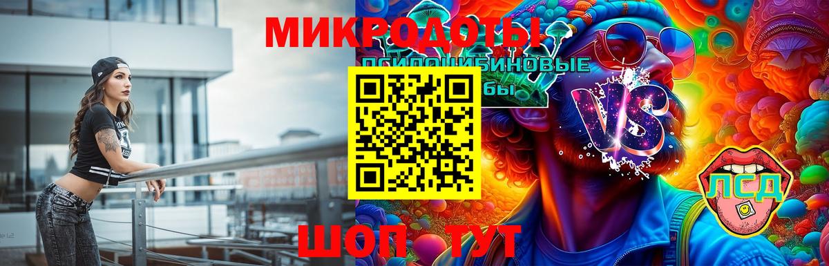 Галлюциногенные грибы Psilocybine cubensis Корсаков